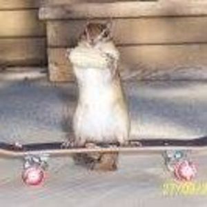 Meet your Posher, Wilma